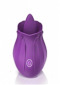 Adult Toy Details (226374.30)